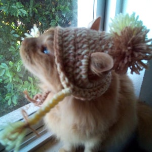 Mütze für Katzen/Bommelmütze für Katze/Katzenkostüm/Katzenkostüm/Mütze für Katzen/Katzenoutfit/Katzenaccessoires/Katzenkostüm/Häkelmütze