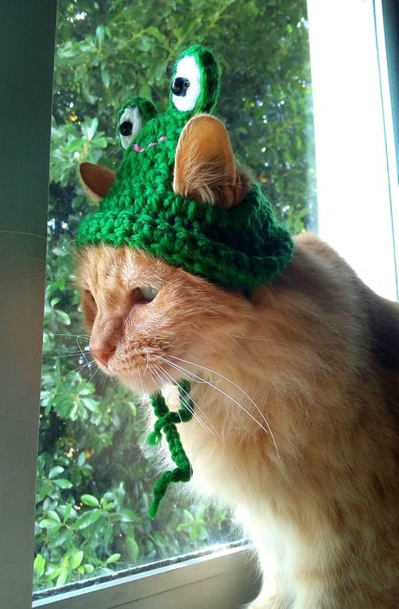 Vestito clearance da gatto