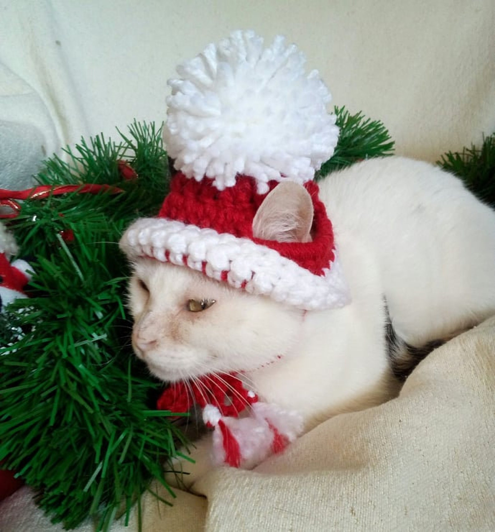 Hats for cats/Christmas hat for cat/Cat costume/Pet Etsy