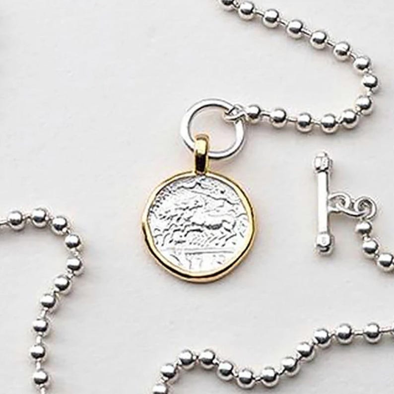 May include: A silver chain necklace with a gold-rimmed silver coin pendant featuring an engraved design. The necklace has a toggle clasp.