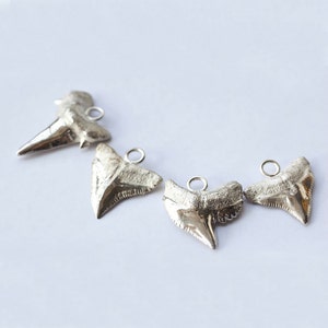 Handcrafted Silver Shark Tooth Pendant – Unique Marine Jewelry for Men & Women, Sterling Silver Shark Tooth Necklace Charm, Ocean Jewelry