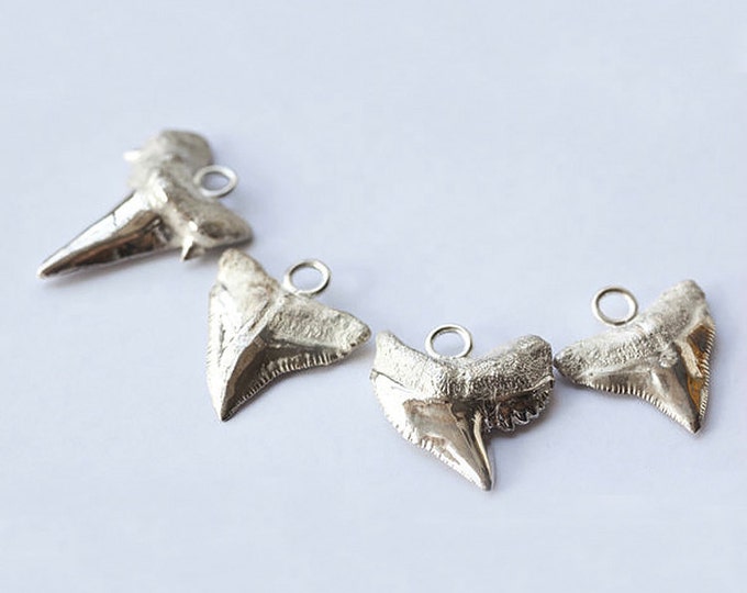 Handcrafted Silver Shark Tooth Pendant – Unique Marine Jewelry for Men & Women, Sterling Silver Shark Tooth Necklace Charm, Ocean Jewelry