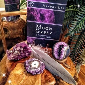 Moon Gypsy by Melody Lee Bild 2