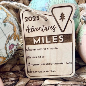 Custom Personalized Baby Stat Ornament Adventure Kids Gifts National Park Baby Theme New Baby Ornament Baby Milestones Babys 1st image 1