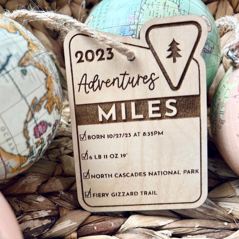 Custom Personalized Baby Stat Ornament Adventure Kids Gifts National Park Baby Theme New Baby Ornament Baby Milestones Babys 1st image 9