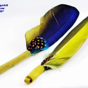 Könnte beinhalten: Zwei blaue und goldene Ara-Federn mit braunen Spitzen, die mit einer braunen Schnur zusammengebunden sind. Die Federn sind 20 bis 25 cm lang.  "blue gold macaw 8"-10"