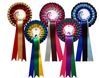 Personalised Horse Rosette, Custom Equestrian Birthday Gift, Pleated Ribbon Celebration Badge