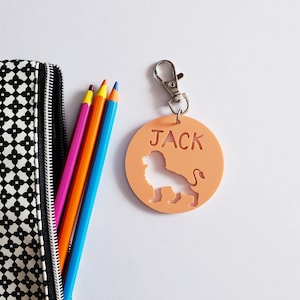 Étiquette de sac LION pastel / porte-clés-personnalisé-Personnalisé-école-maternelle-cartable-personnalisé-maternelle-citron-rose-orange-menthe-violet