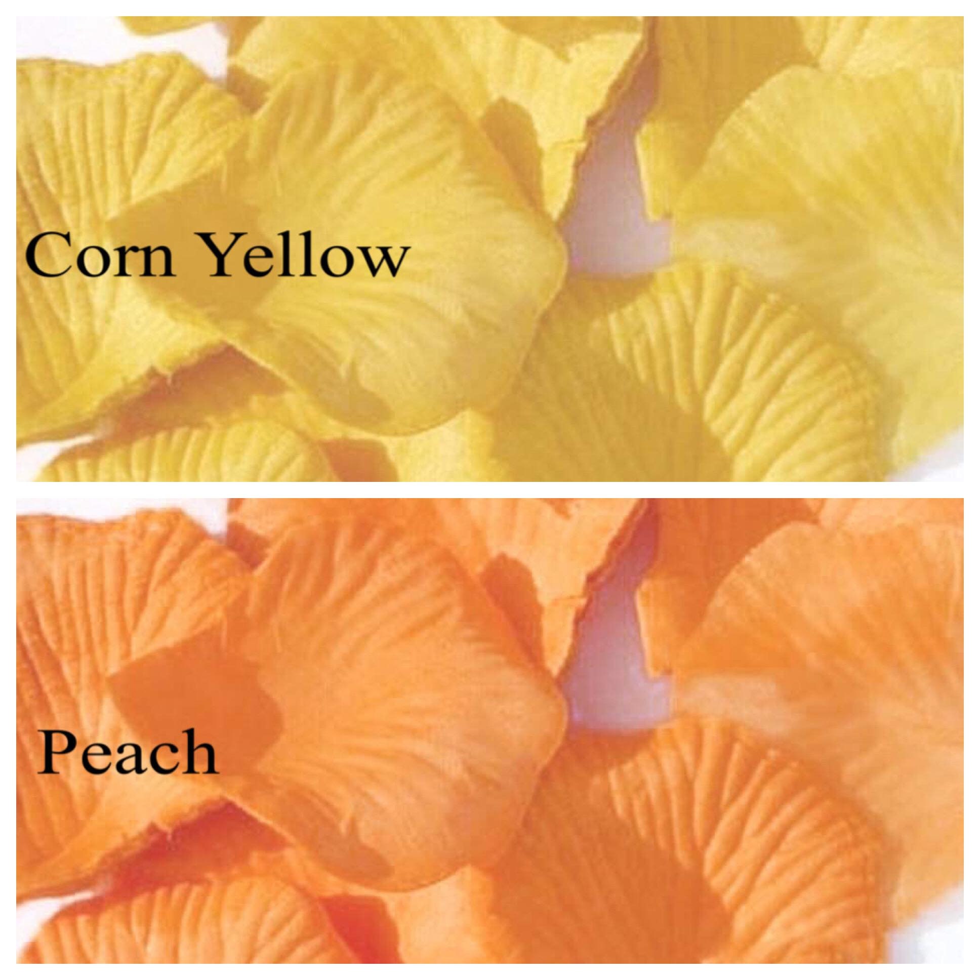 100pcs Silk Rose Flower Petals for Wedding Party Decoration Etsy