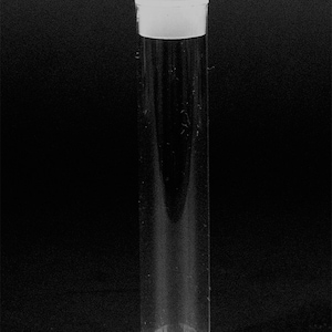 May include: A clear plastic tube with a white lid. The tube is empty and appears to be for storing small items.