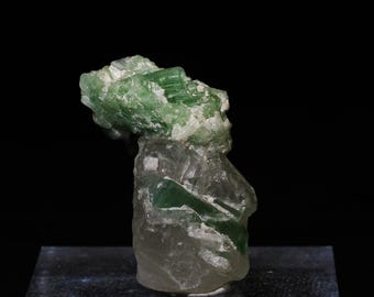Green Tourmaline on Quartz Matrix | Thumbnail Specimen | Paprok, Kamdesh District, Nuristan, Afghanistan
