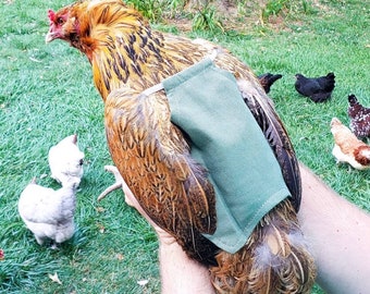 Hen saddle, chicken back protection from aggressive rooster. Chicken keeping supplies.