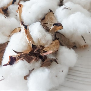 Dix têtes de fleurs de fleurs de coton séchées en vrac flore fleuriste artisanat fournitures matériaux naturels bohème rustique décoration décorations artisanat