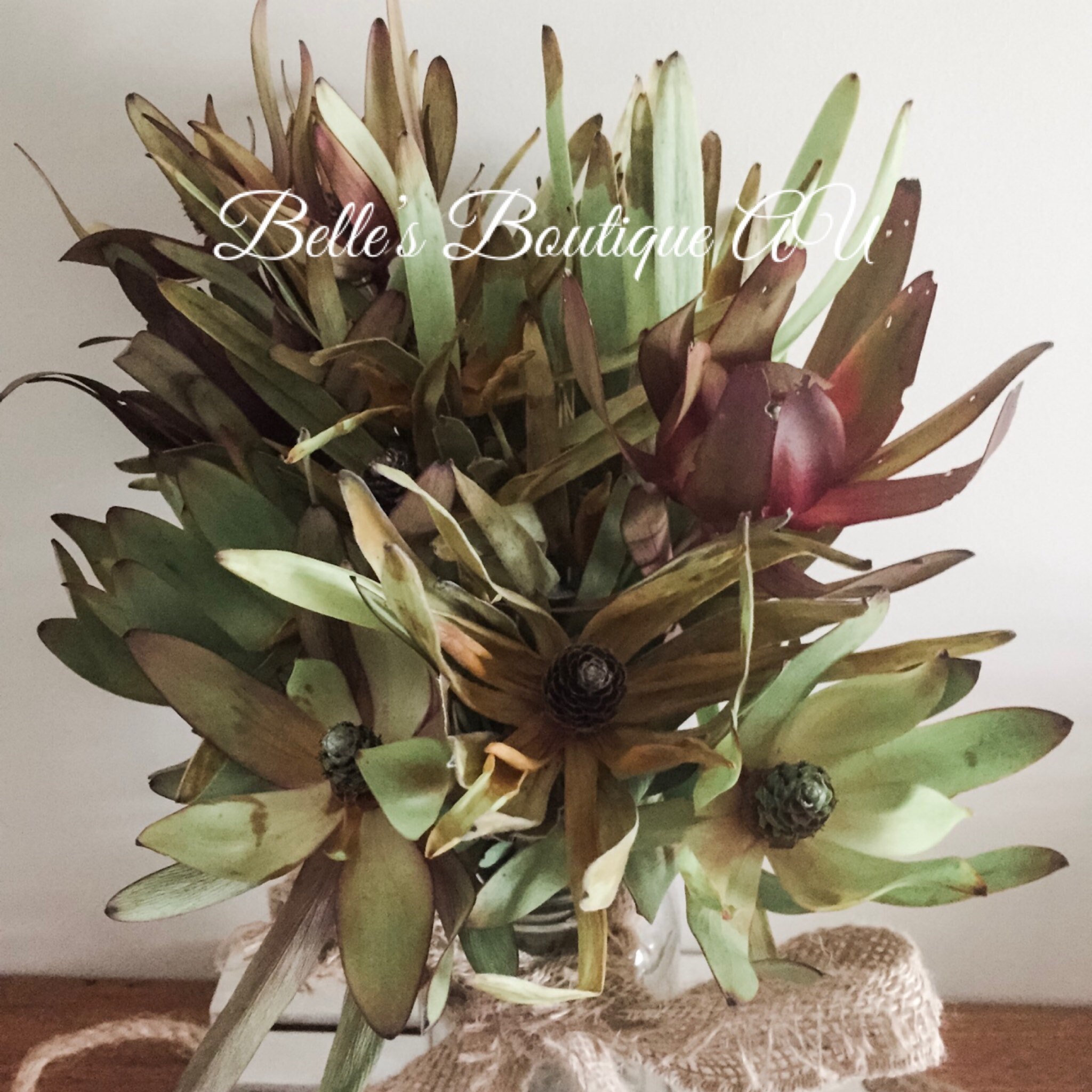 Dried Australian Native flowers, dried Leucadendron ...