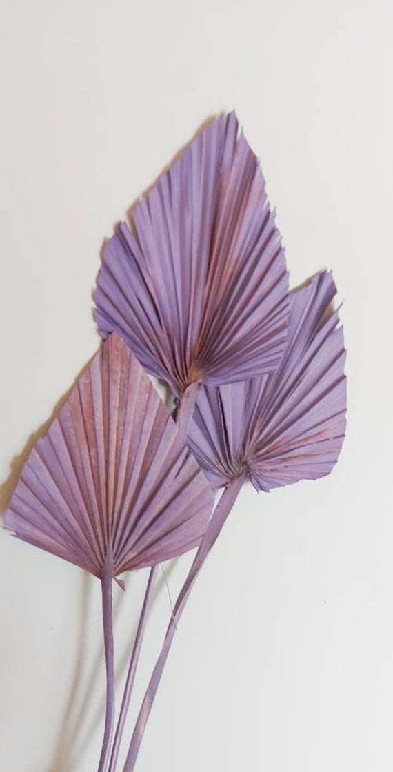 Purple Lilac dried mini palm spears leaf leaves fan natural florist craft supplies everlasting palms spades rustic boho home wedding décor