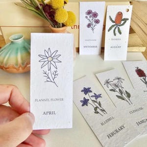 Etiquetas de presente de sementes Flores nativas australianas plantáveis Etiqueta de presente de mês de nascimento Cartões de felicitações de aniversário florais Bottlebrush Swan River Daisys Sementes