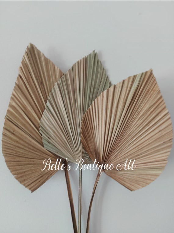 Natural dried medium palm spears leaf leaves fan florist craft supplies everlasting palms spades rustic boho home wedding décor preserved