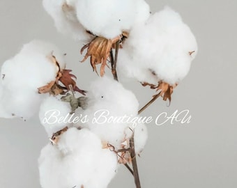 Dried cotton stems branches cotton blossom flowers preserved white floral arrangement natural florist craft supplies home wedding decor