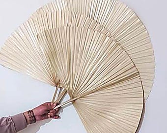 Large Dried Fan Palm Leaf | Natural Preserved Palm Frond | Boho Wedding Decor | Rustic Home Styling | Florist Craft Supply