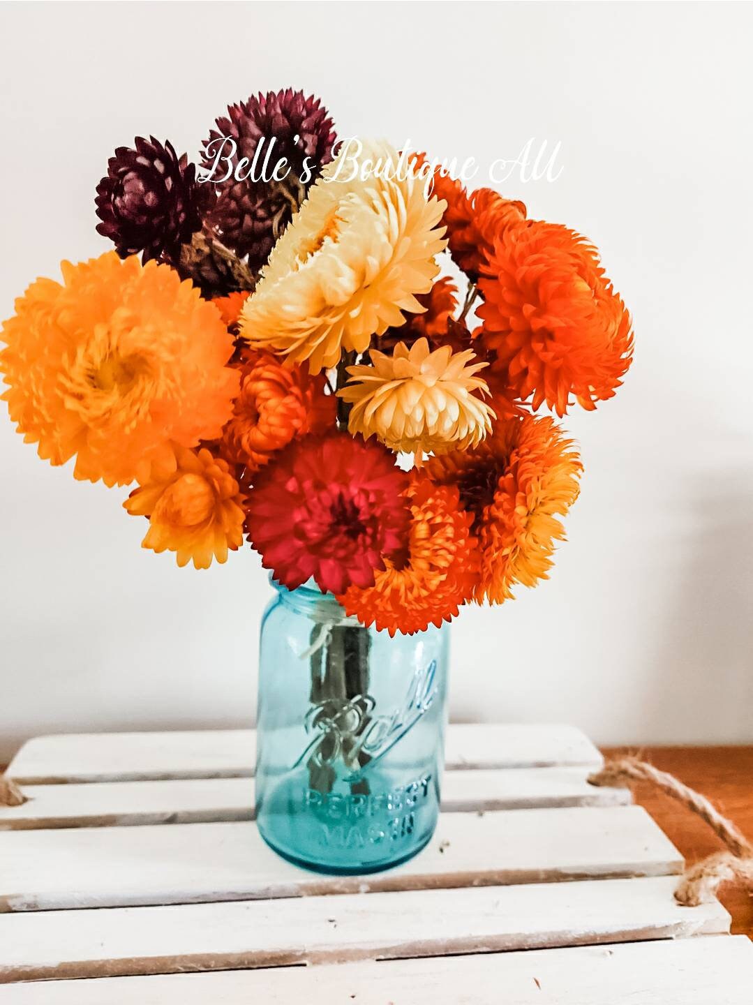 Dried strawflowers straw flowers everlasting daisies ...