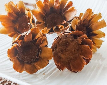 Dried Protea Rosettes Brown Flowers Raw Everlasting Australian Native Flora Stems Natural Florist Craft Supplies Rustic Floral Botanicals