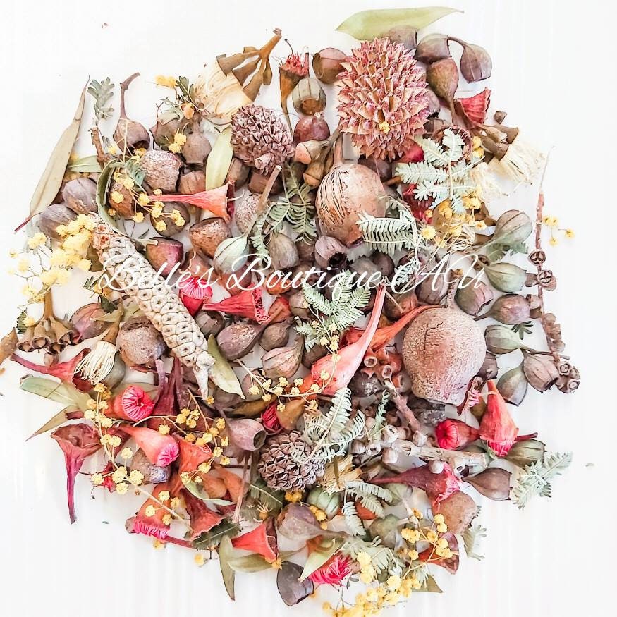 Natural Dried Gum nuts wattle bulk gumnuts mixture dried ...