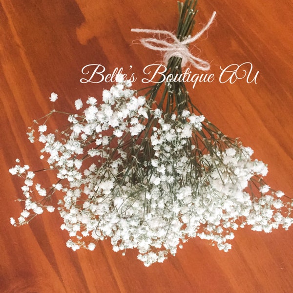 Gedroogde Babys adem witte bewaarde gypsophila gyp gedroogde bloemen natuurlijke bloemist ambachtelijke benodigdheden bruids bruiloft bloemen boeket bos posy