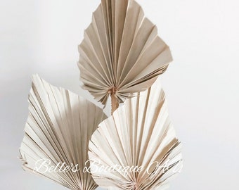 May include: Three dried palm leaves in a natural beige colour. The leaves are arranged in a fan shape and are a popular choice for home decor.