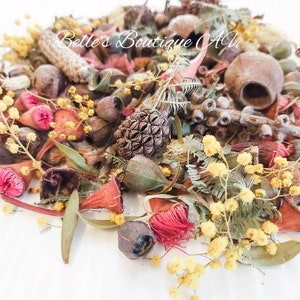 Natural Dried Gum Nuts Golden Wattle Acacia Mix Eucalyptus Australian Native Blossoms Flowers Parrot Foraging Food Chews Craft Supplies
