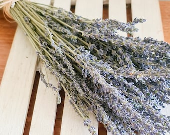 Australian Dried Lavender Bunch Stems Fragrant Natural Dry Flowers Lavandula Angustifolia Rustic Preserved Flora Florist Craft Supplies