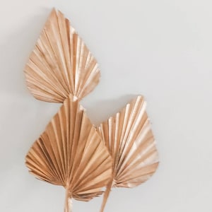 Metallic Gold Dried Mini Palm Spears: Boho Wedding Decor