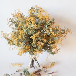 Dried Golden Yellow Wattle Flowers Blossom Natural Dried Bunch Posy Bouquet Australian Native Flora Foliage Preserved Acacia Australiana