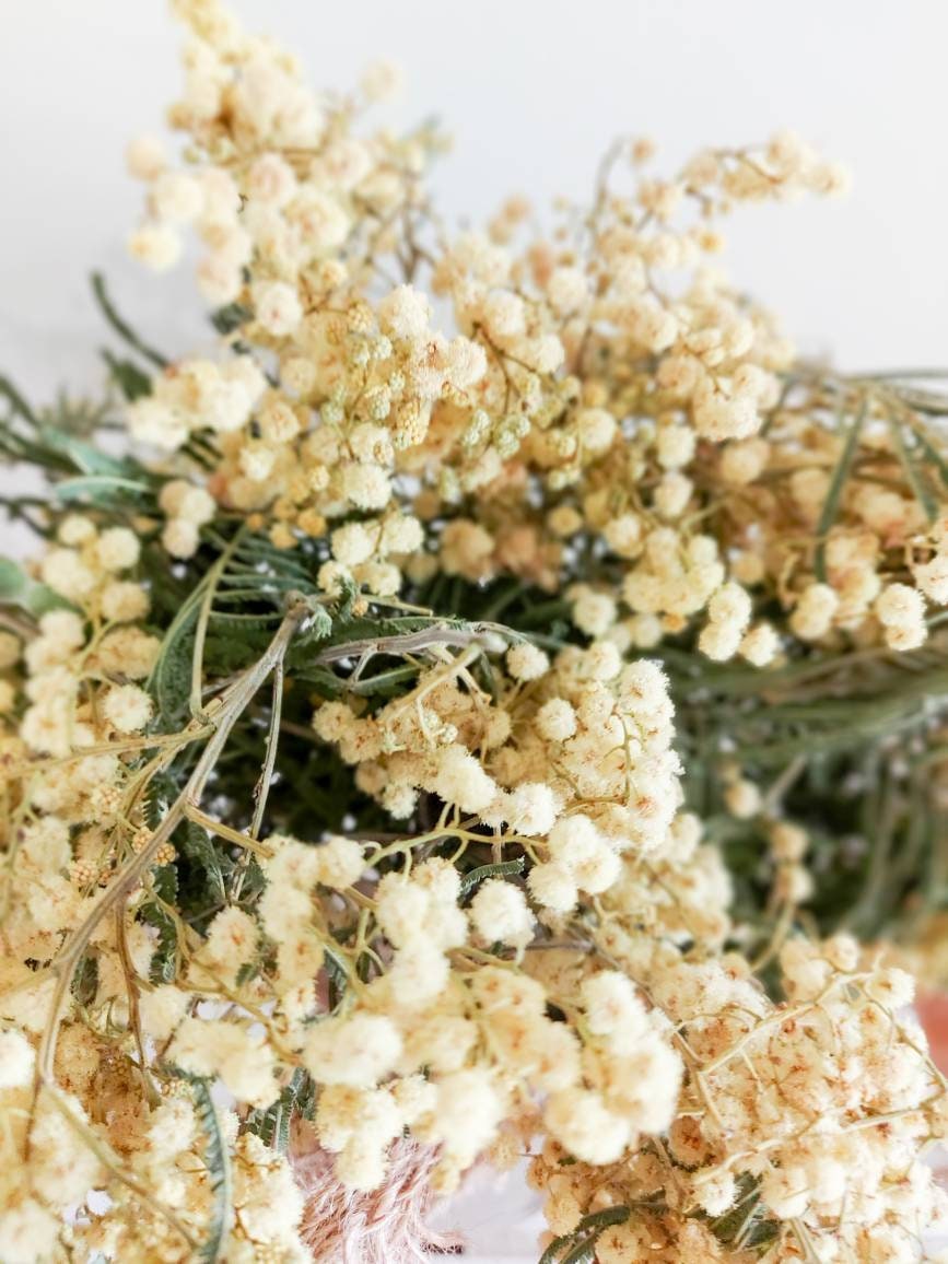 Dried Flowers Australia