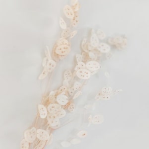 May include: A bouquet of dried, cream-colored flowers with small, round petals. The flowers are arranged in a fan shape and have a delicate, airy appearance.