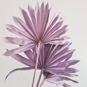 Feuilles de palmier séchées au soleil lilas pourpres, feuilles d'éventail, fleurs, artisanat, fournitures, décoration de mariage à la maison bohème rustique, accents floraux