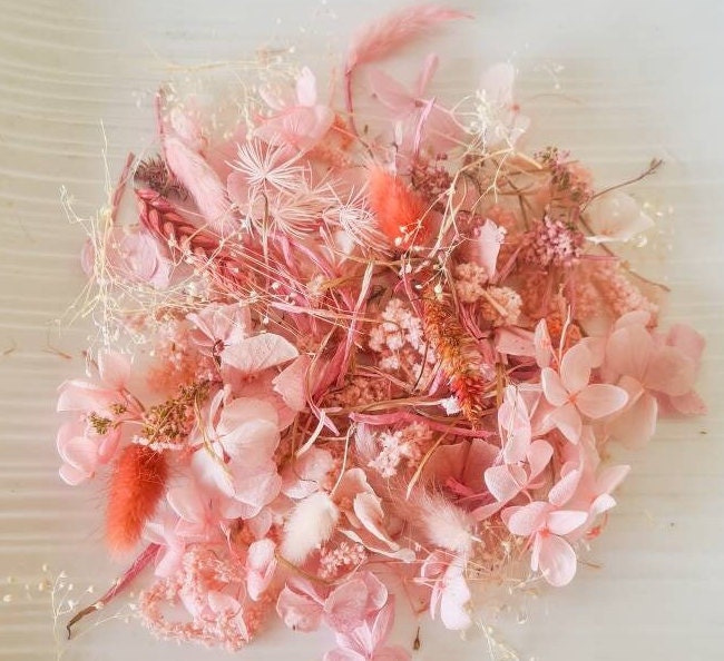 Small Light Pink Pressed Dry Flowers – Craftyrific