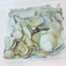 Dried Eucalyptus Leaves Gum Leaf Confetti Biodegradable Eco-preserved ...