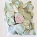 Dried Eucalyptus Leaves Gum Leaf Confetti Biodegradable Eco-preserved ...