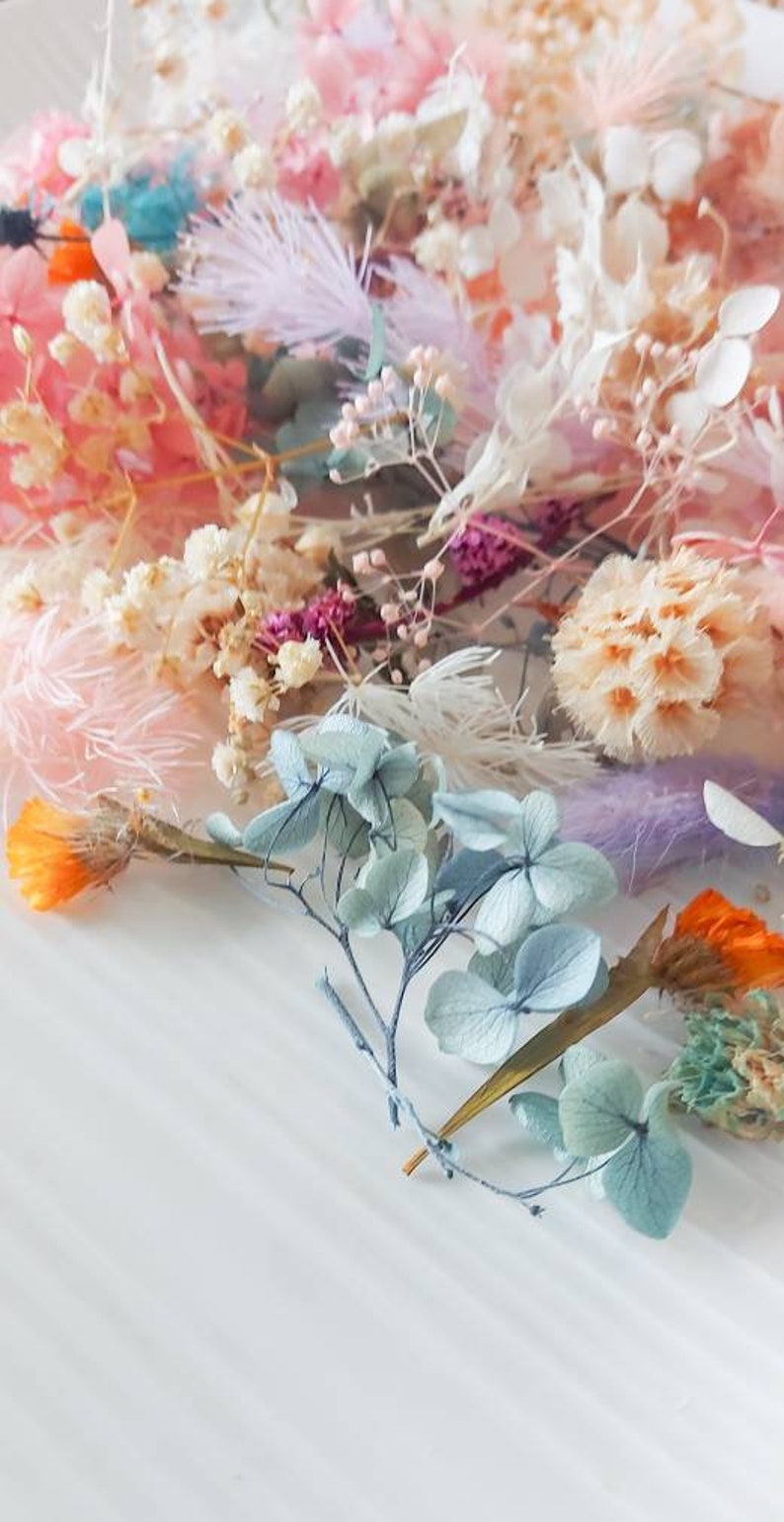 Bulk Dried Flower Heads Mixed Preserved Flowers Natural Etsy Australia
