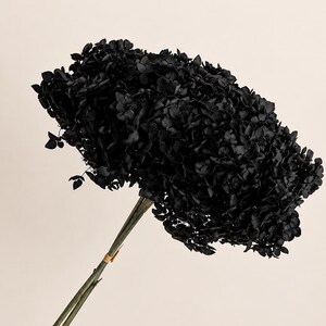 Preserved Black Hydrangea Stems Bunch Bouquet Dried Flowers Natural Florist Craft Supplies Floral Arrangement Home Wedding Decor Dry Flower