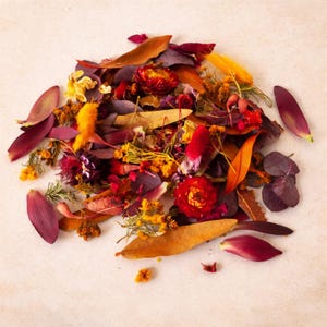 May include: A vibrant assortment of dried flowers and leaves in shades of red, orange, yellow, and purple. The arrangement includes various textures and shapes, creating a natural and colorful display. Ideal for potpourri or decorative purposes.
