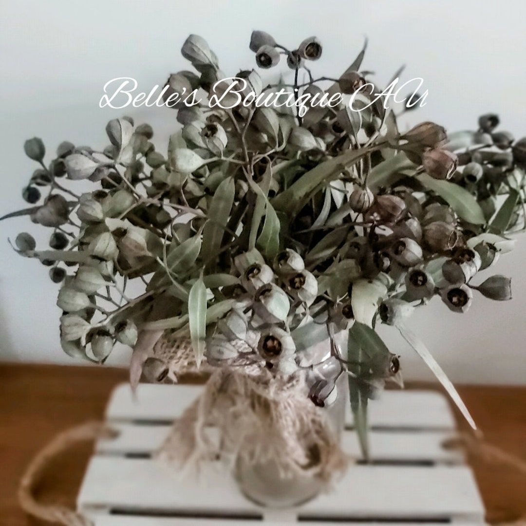Natural Dried Gumnuts Eucalyptus Foliage Florist Craft Supplies ...