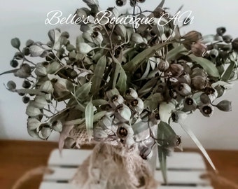 Natural dried gumnuts eucalyptus foliage florist craft supplies preserved eucalyptus stems gumnut bunch Australian native flowers décor dry