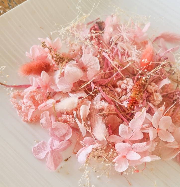 Flmtop 1 Box Preserved Flower Beautiful Bright-colored Dried Flower Stylish Visual Effect Dried Flower Display for Home Pink