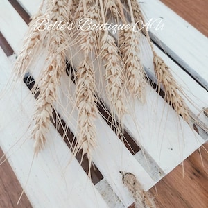 May include: A bunch of dried wheat stalks with beige colored grains, arranged on a white wooden surface with a slatted design. The text "Belle's Boutique Au" is visible in the background.