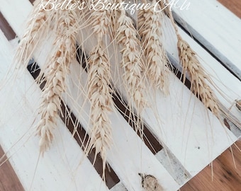 Dried Wheat Grass Stems Bunch Natural Materials Florist Craft Supplies Everlasting Rustic Country Boho Flowers Floral Arranging Preserved
