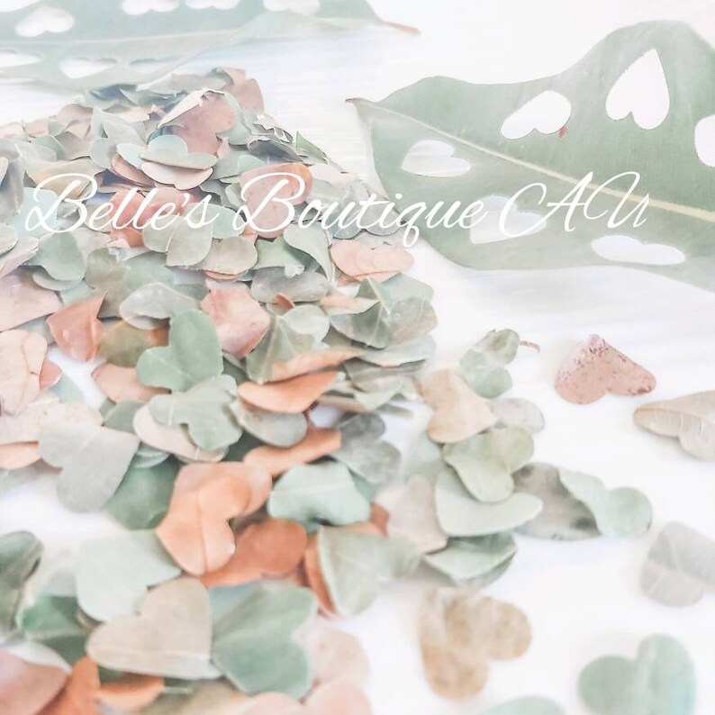 Biodegradable Wedding Confetti Grey, Blush Pink & Ivory Eco Friendly