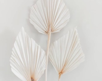 Dried off white mini palm spears dry leaf leaves fan natural florist craft supplies everlasting palms rustic boho beach home wedding decor