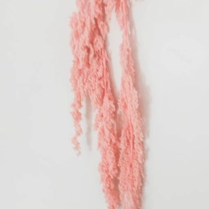 Preserved Pink Hanging Amaranthus Long Dried Flowers Stems Natural Florist Craft Supplies Floral Arrangement Home Wedding Décor Bunch Flora