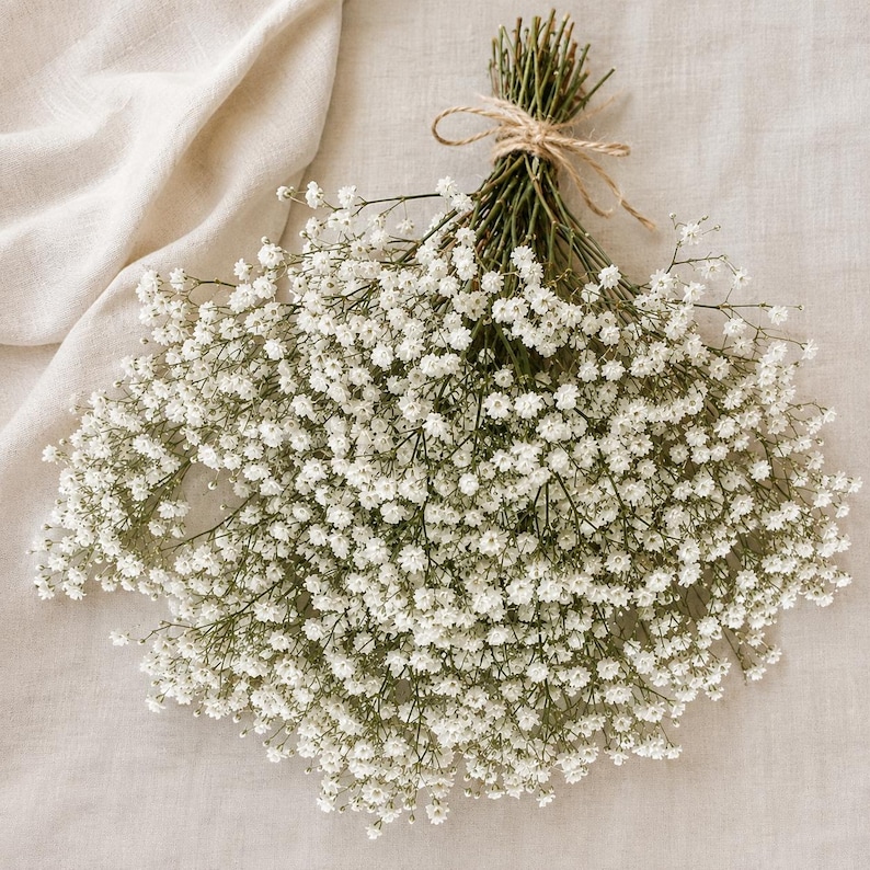 May include: A bouquet of dried baby's breath flowers featuring numerous small, white, delicate blossoms on thin, branching green stems. The stems are gathered together and tied securely at the top with a simple, light brown twine bow.